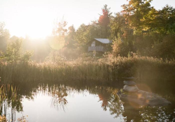 D Acres Organic Permaculture Farm And Educational Homestead Rumney Exterior foto