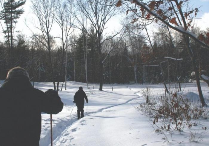 D Acres Organic Permaculture Farm And Educational Homestead Rumney Exterior foto